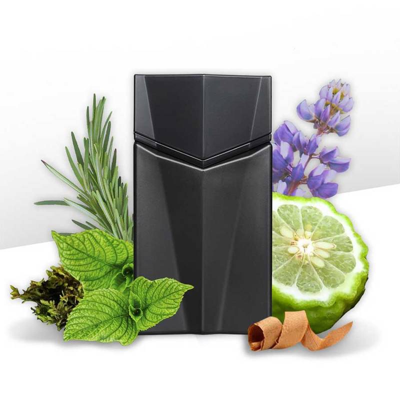 Perfume Animale Seduction de Animale hombre edt 100ml 4 Perfume Animale Seduction de Animale hombre edt 100ml - Imagen 4