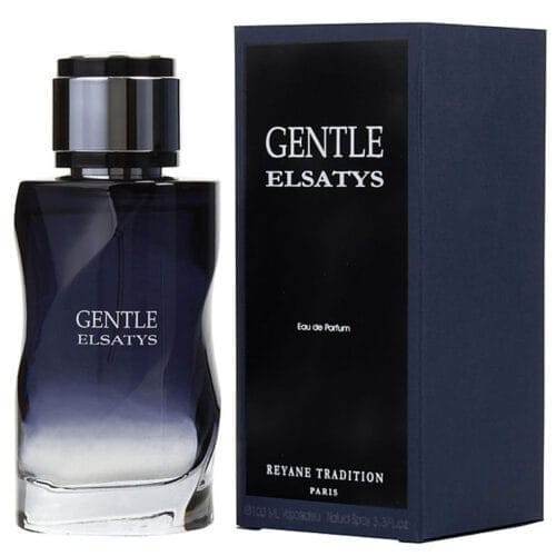 Perfume Reyane Tradition Gentle Elsatys de hombre 100ml