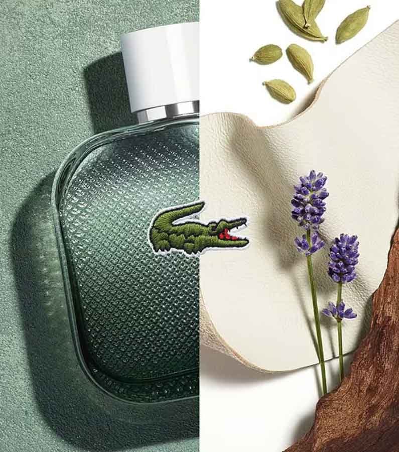 lacoste perfume blanc